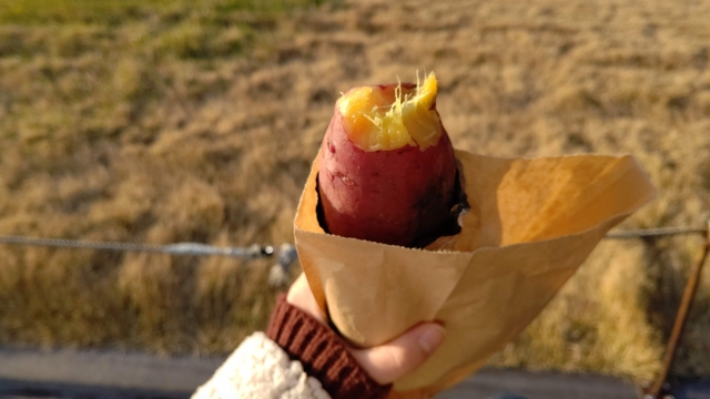 外で焼き芋を食べている